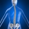 upload/articles/thumbs/120513091112scoliosis icon.jpg